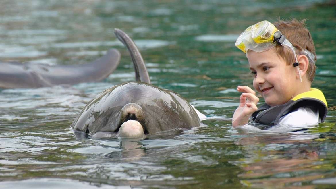 Golfinhoterapia em Fernando de Noronha